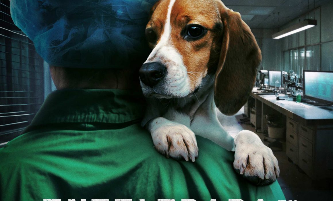 INFILTRADA EN EL BÚNKER